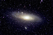 M31 (Andromeda Galaxy)